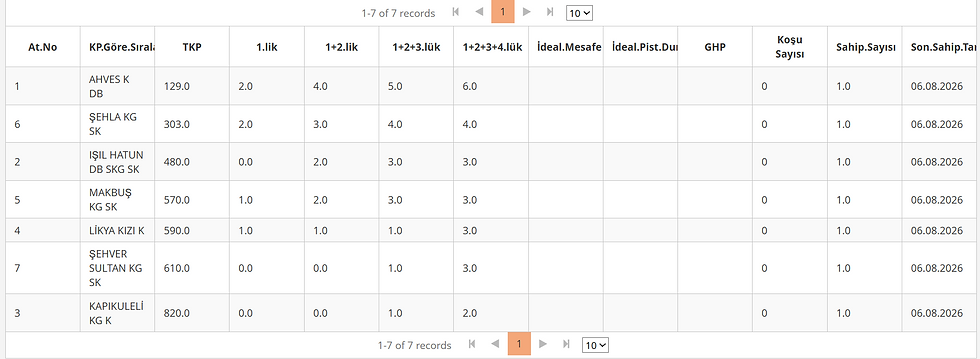 August 06 Ankara Race Tips horse statistics table