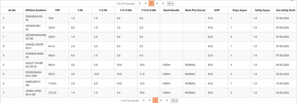 August 07 Bursa Race Tips performance data table