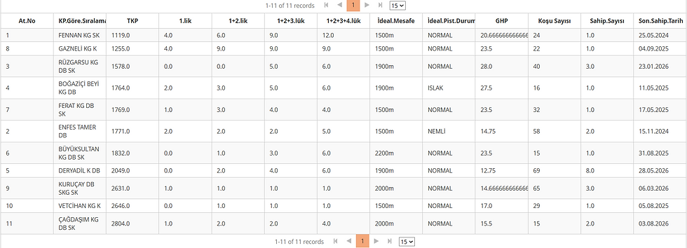 Ankara horse racing performance and rating data table.