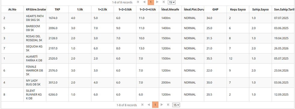 August 22 Ankara Race Tips performance data table