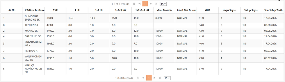 Bursa horse racing performance table and statistical data.