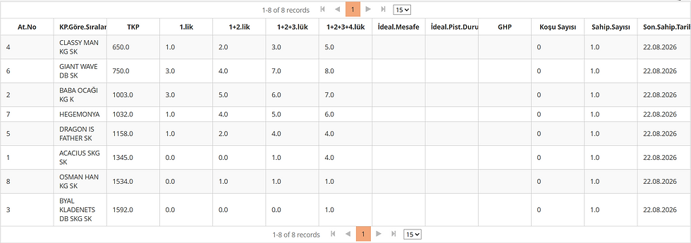 August 22 Ankara horse race statistics and performance table