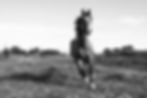 b01806b8-e0be-44d3-ad2d-e324fd0dfbc5.JPG