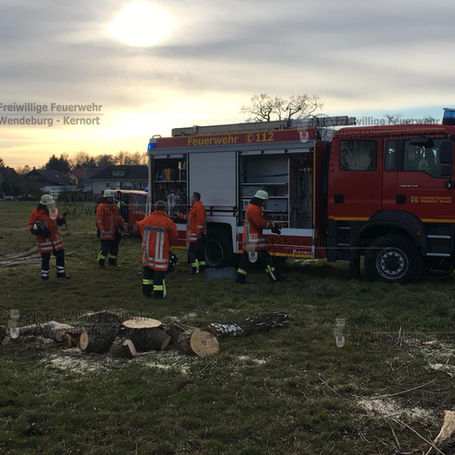Baum brennt nach Sägearbeiten (23.02.2019)