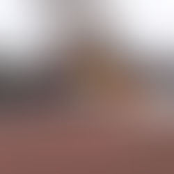 PKW Brand (21.10.2018)