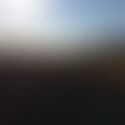 Wiesenbrand (08.07.2018)