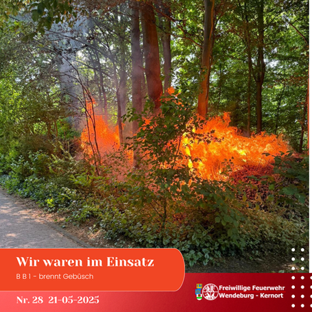 Brennendes Gebüsch (21.05.2025)