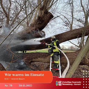 Brennender Baum (20.12.2025)