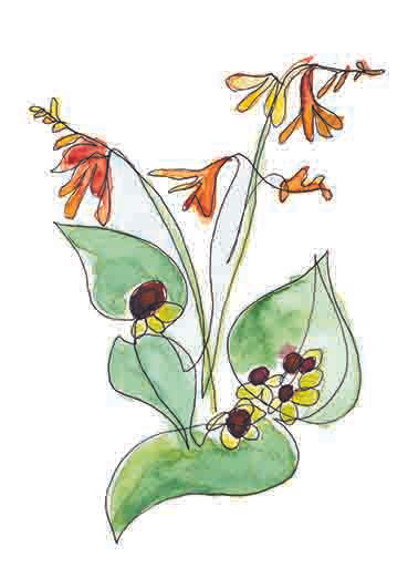 Thumbnail: Irish Flower Blind Contour Card Prints (set 1)