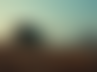 Диагностика спецтехники