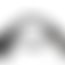 Чем диагностировать технику/ кран / экскаватор Либхер