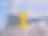 PIBSLogo.avif