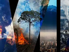 Beyond Human Suffering: The Imperative Case for Recognising Ecocide as the Fifth International Crime Under the Rome Statute