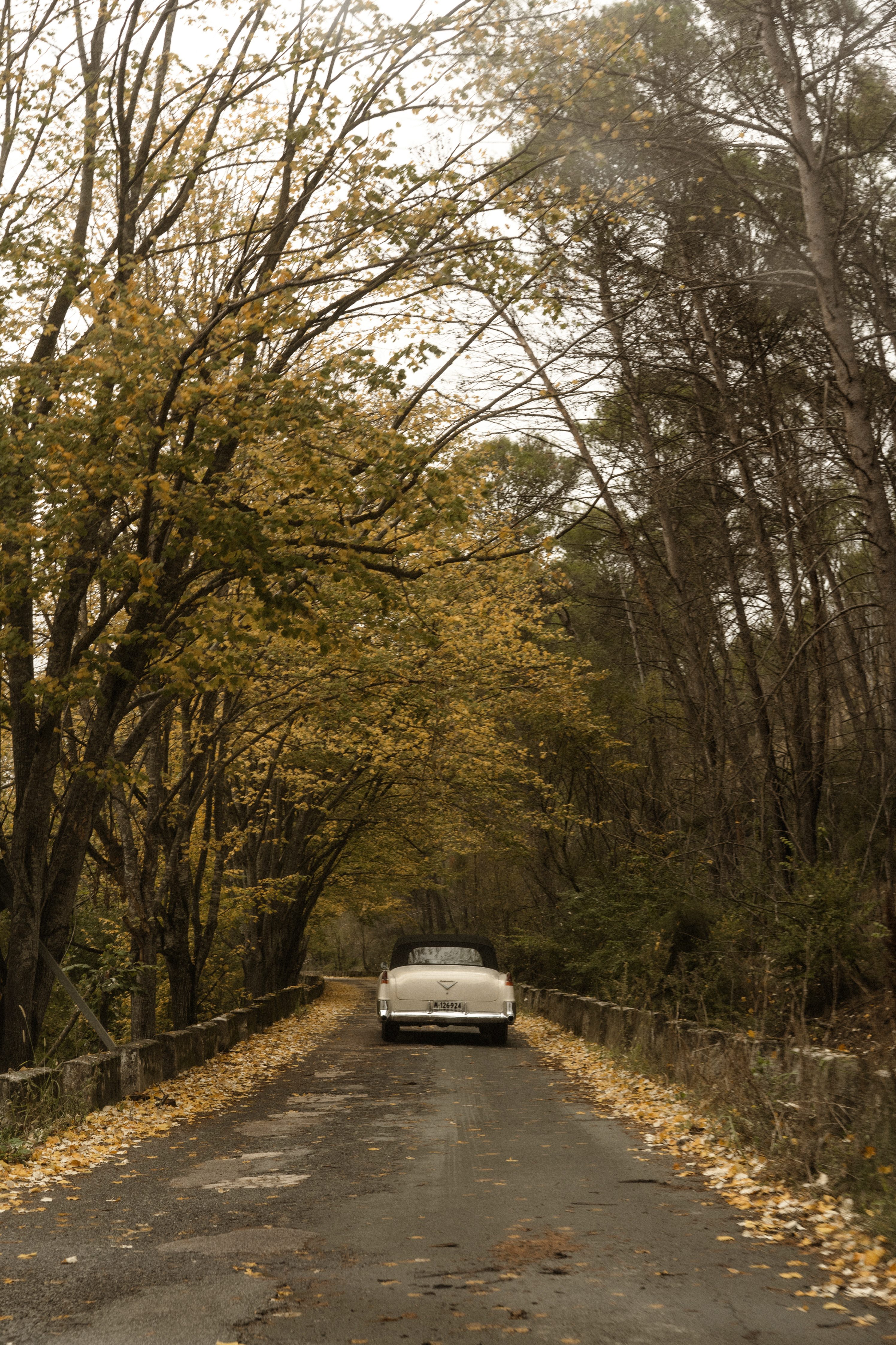 Paloma y Gonzalo, Boda en la Iglesia de Santiago el Mayor, Puente la Reina y En el Señorio