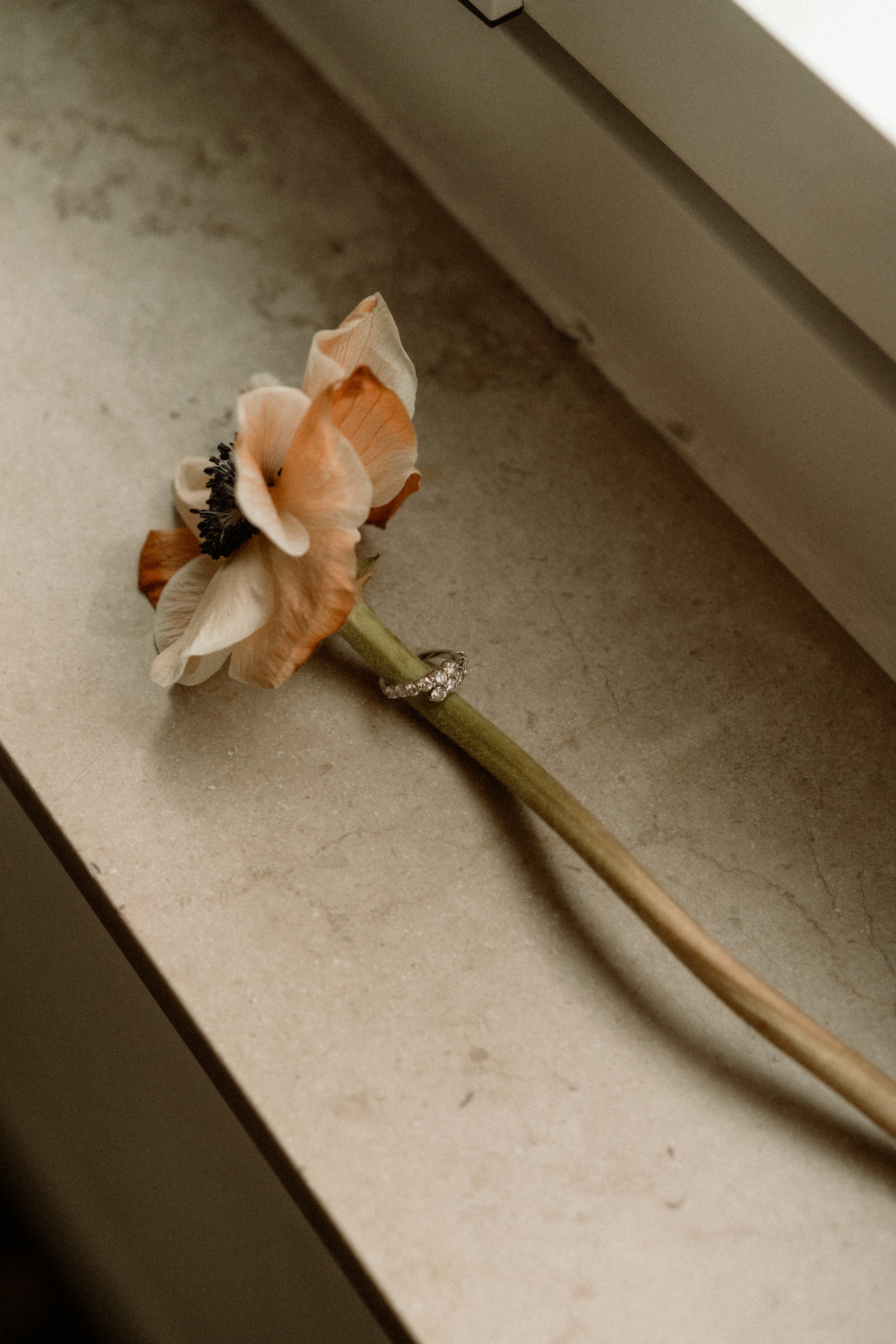 Almudena y Jaime - Boda en la Catedral de Santander y Finca de San Juan - 2024 - Mas que M