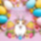 Easter海报.png