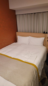 Our Hotel Room Bed View