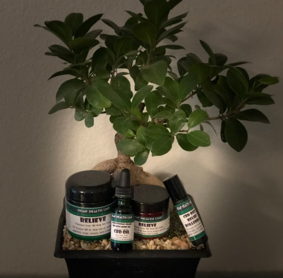bonsai and product.jpg