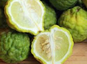 bergamot.jpg