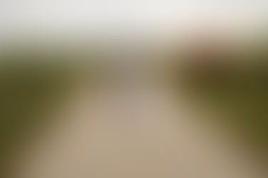 Heiraten im eigenen Garten – das gewisse Extra ist die persönliche Note. 