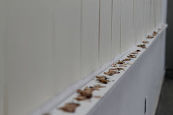 Detalle
