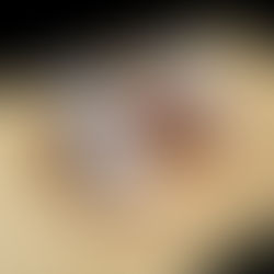 Porcos não olham pro céu