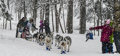 amy bragg iditarod.jpg