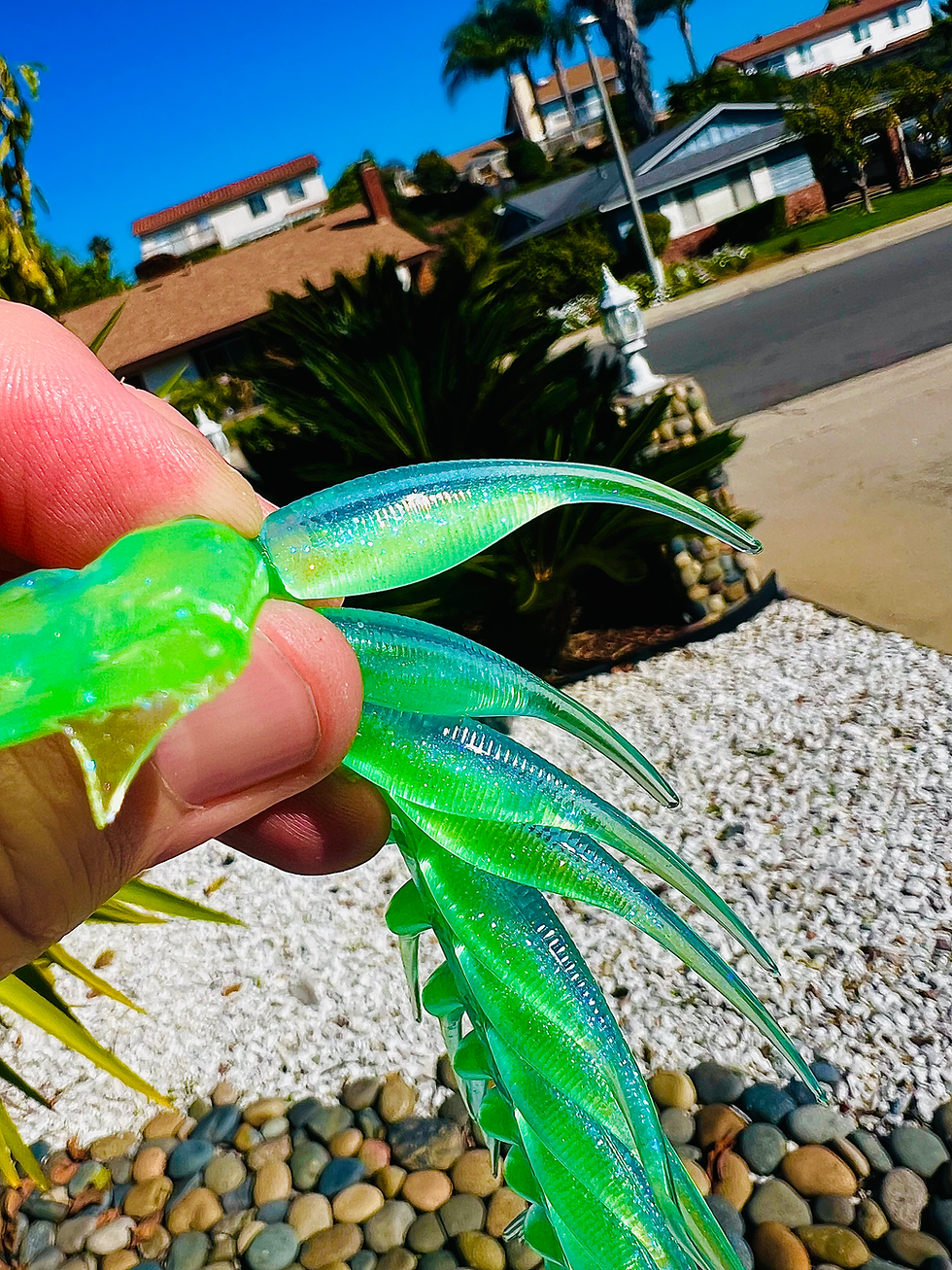 Thumbnail: 2" Classic Tail - Blue/Chartreuse