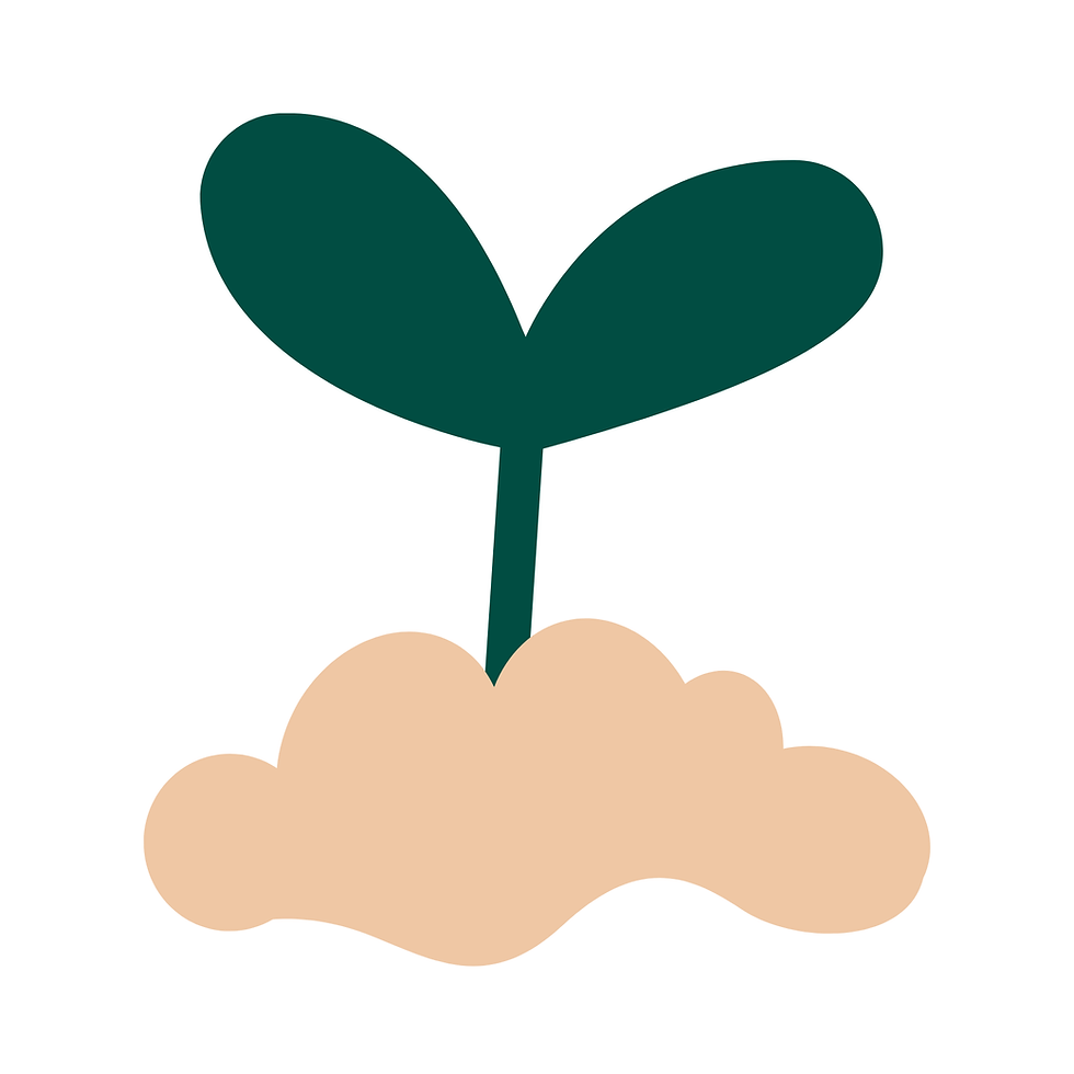 4.png
