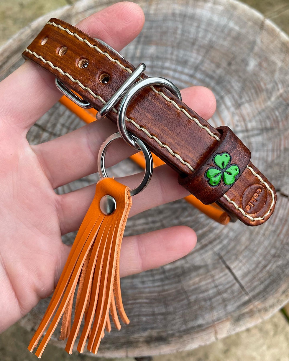 Miniatura: Obojek 2cm, se jménem, podšitý