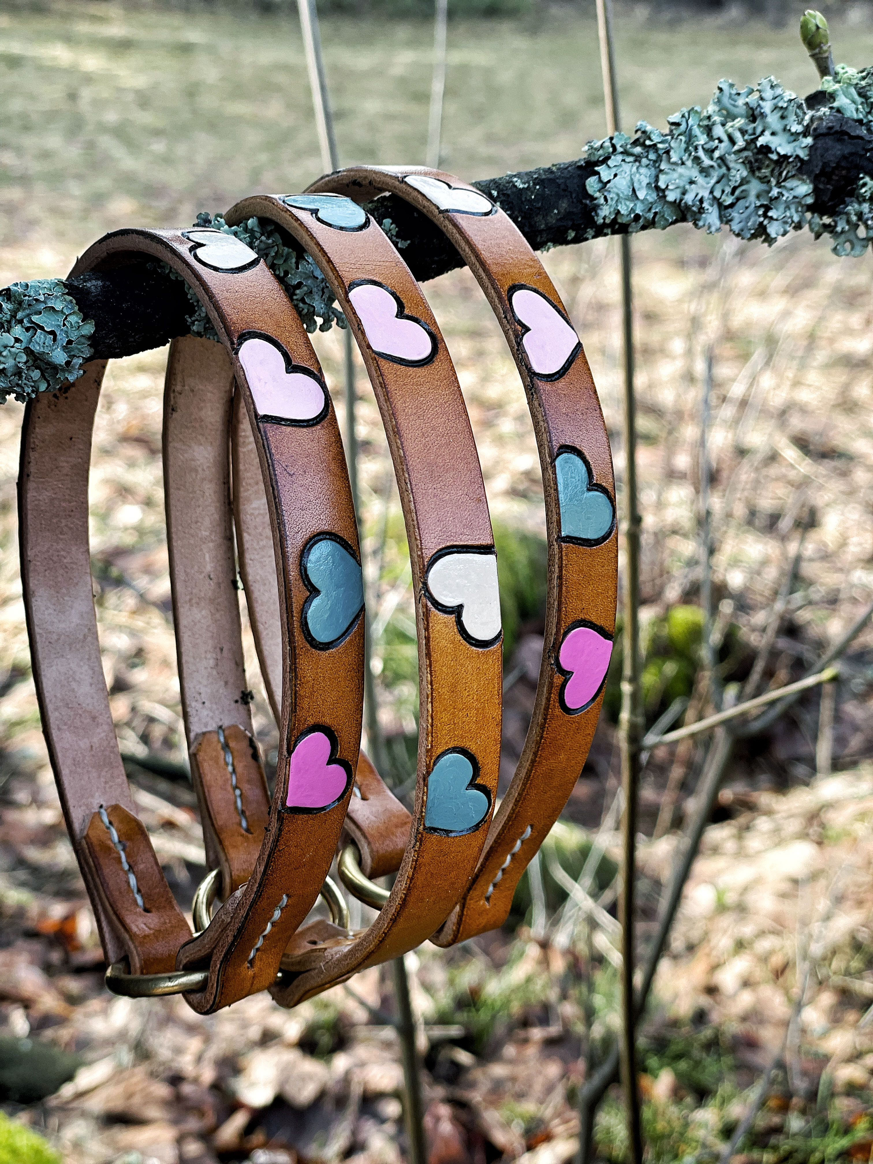 Obojek pevný, srdíčka