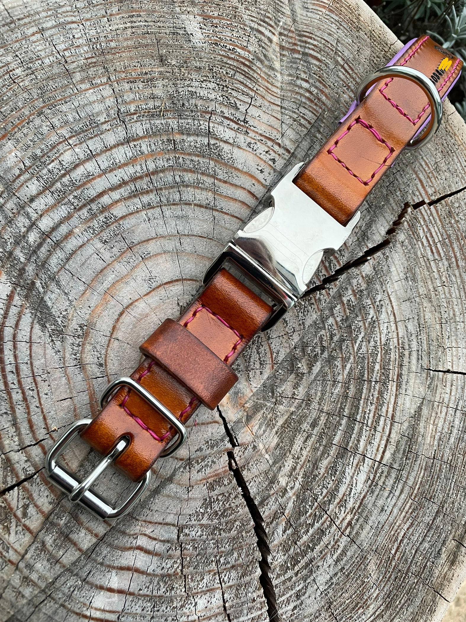 Obojek s rychlopřezkou, stříbrné kování