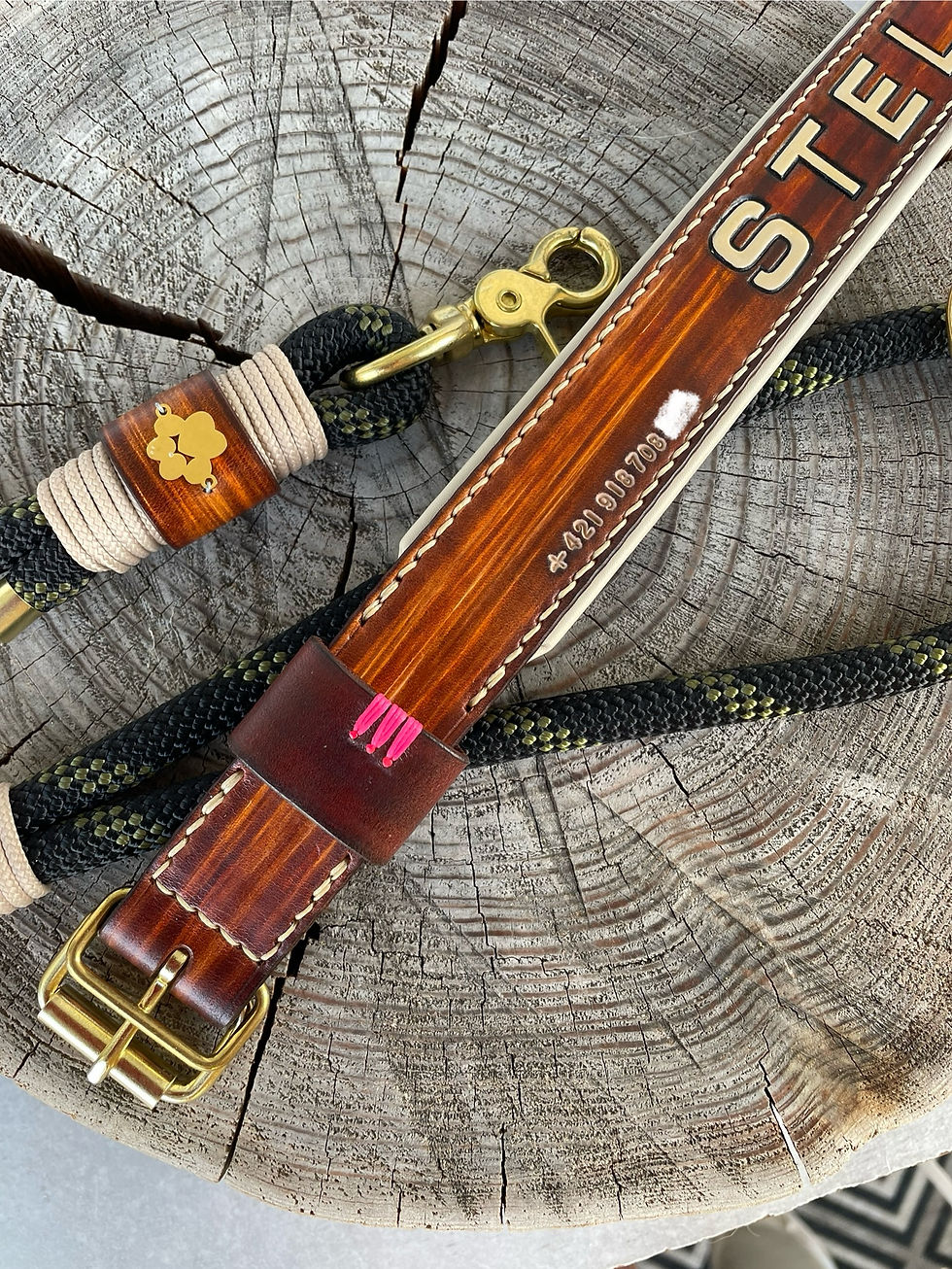 Miniatura: Obojek podšitý 3cm, velká písmena