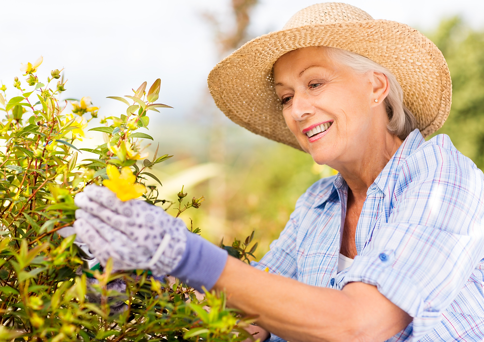 retired lady enjoying an afternoon gardening