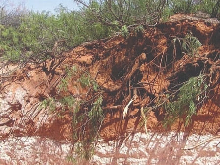 Caliche Soil Las Vegas: The Hidden Underground Concrete Beneath Your Yard