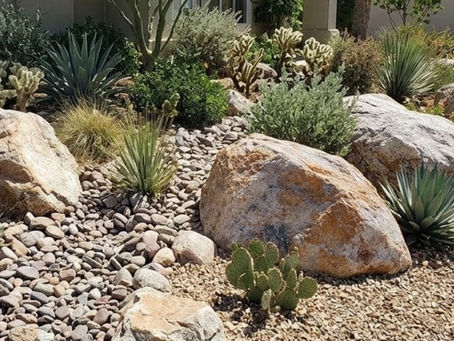 Why Some Las Vegas Landscaping Choices Make Yards Feel Hotter