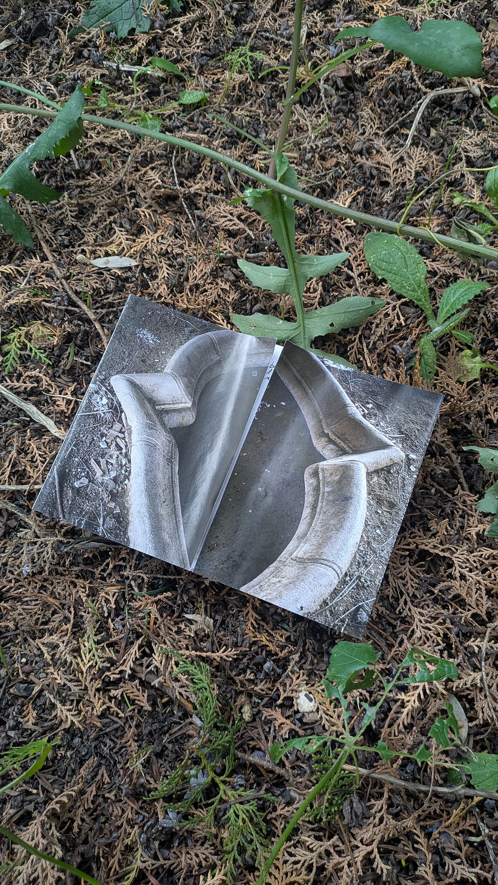 Image de deux pour dire