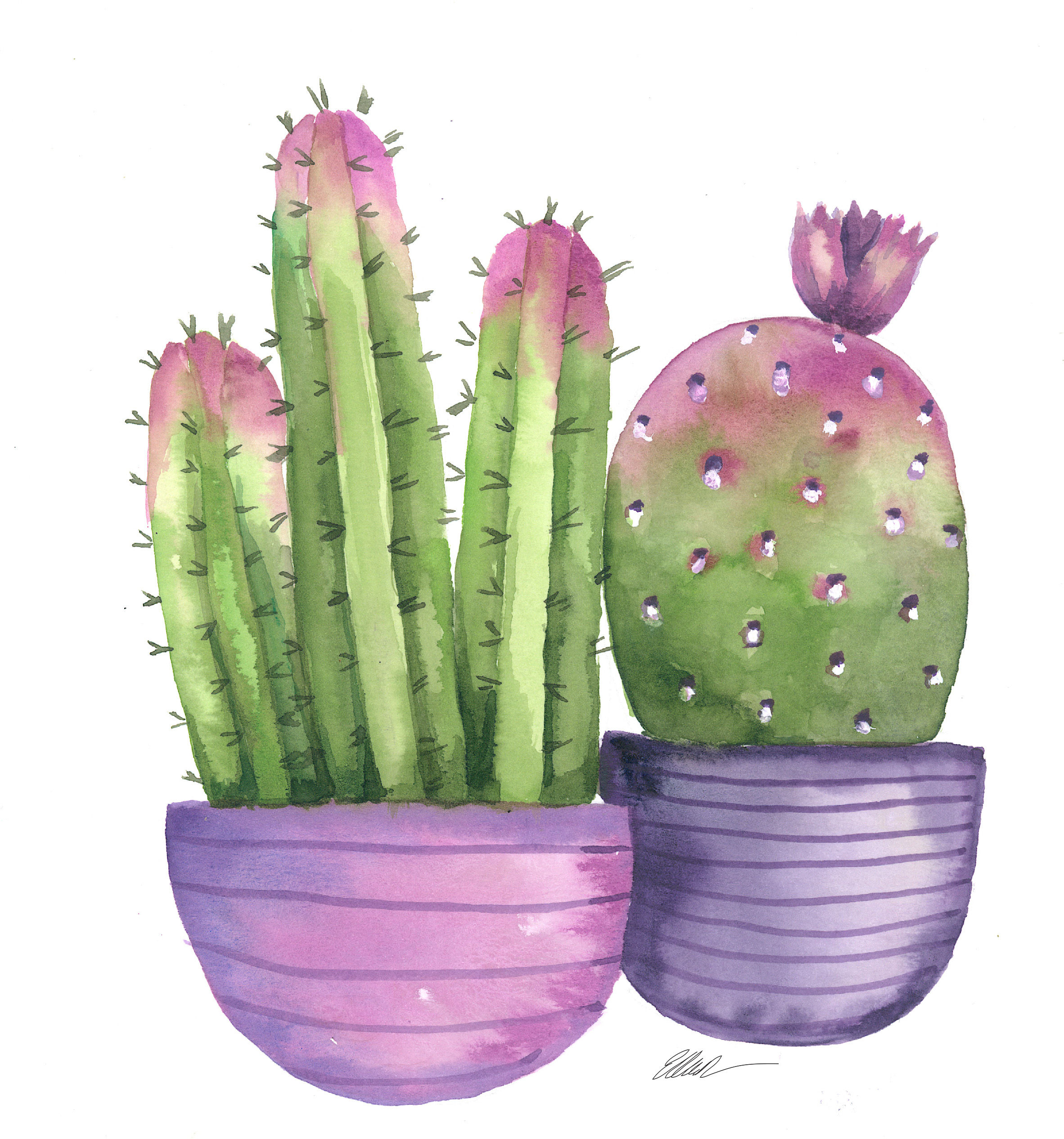 Potted cactus in purple pots original watercolor painting