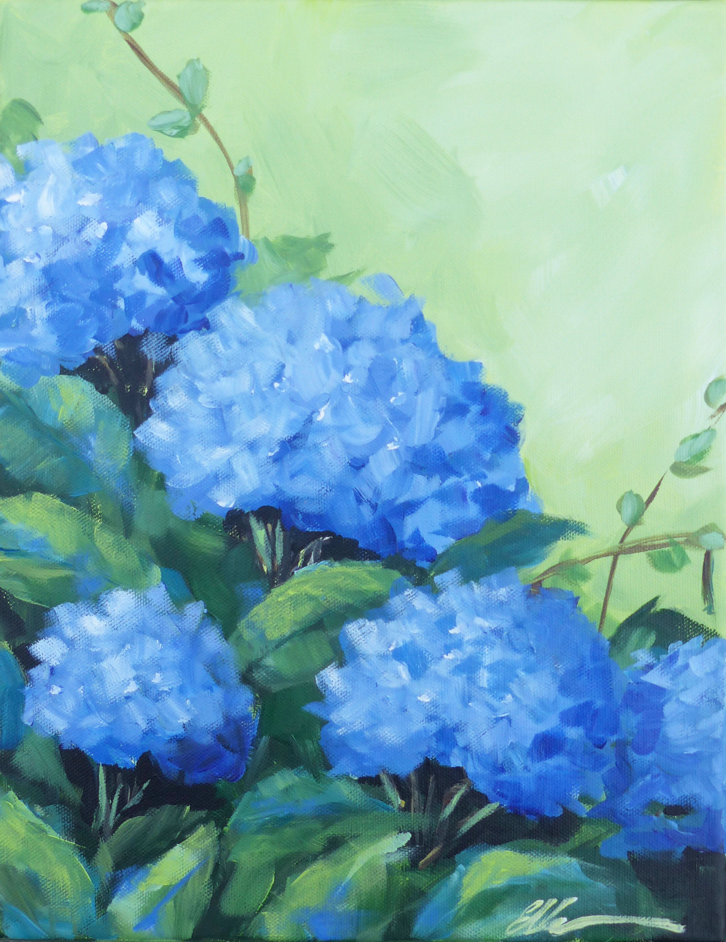Blue Hydrangeas