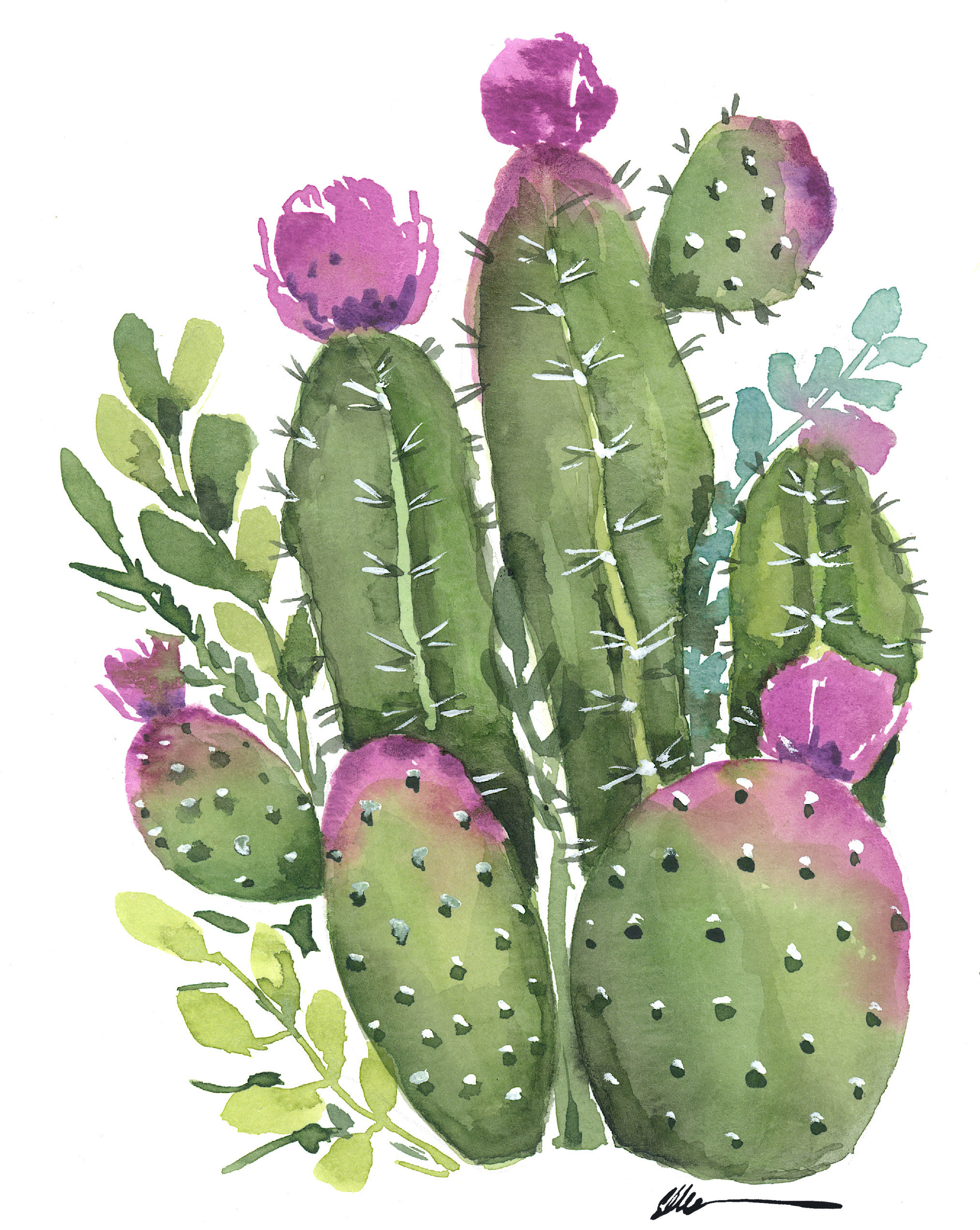 pic Cactus With Purple Flowers cactus garden with purple flowers original watercolor ellencrimitrent