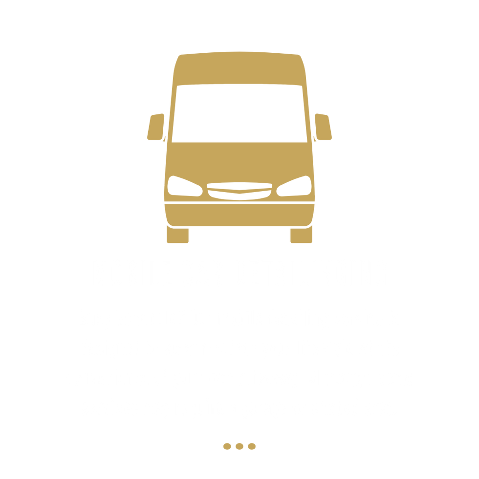 Mobile Auto Detailing