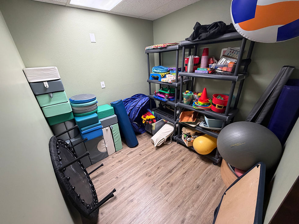 Gross motor equipment closet with large foam blocks, small trampoline, floor tunnels, yoga balls, ba