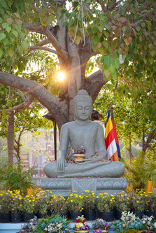 Nuit tranquille à bouqiner dans une vieille cabane abandonnée. Je fais un feu pour cuir mes nouilles
