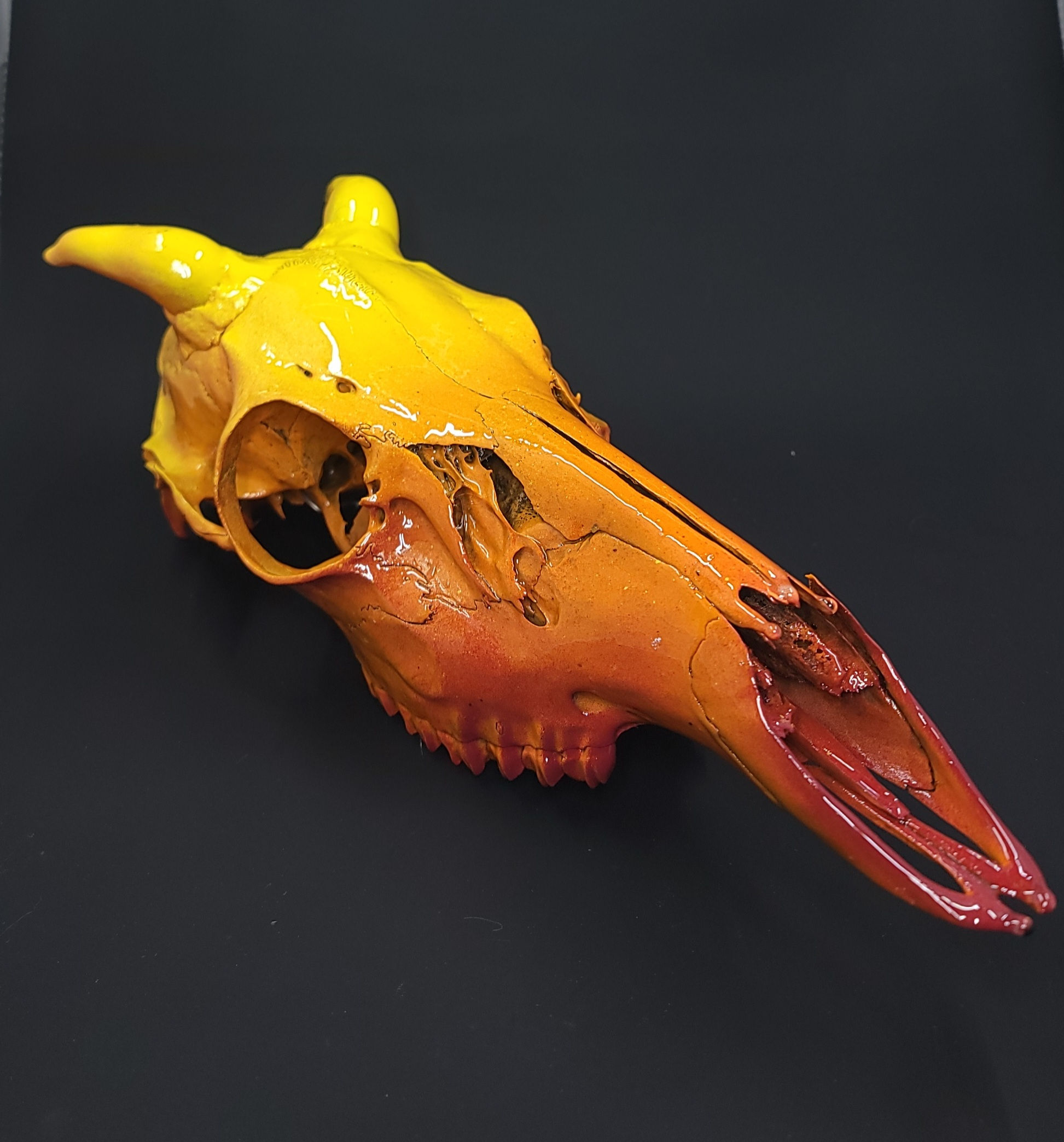Blazing dragon skull