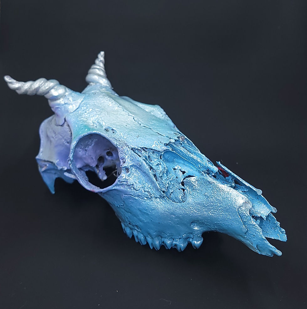 Frost Dragon Skull