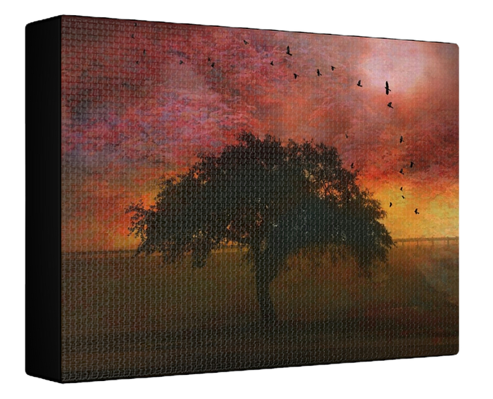 Sunset Tree Gallery Wrap Wall Art