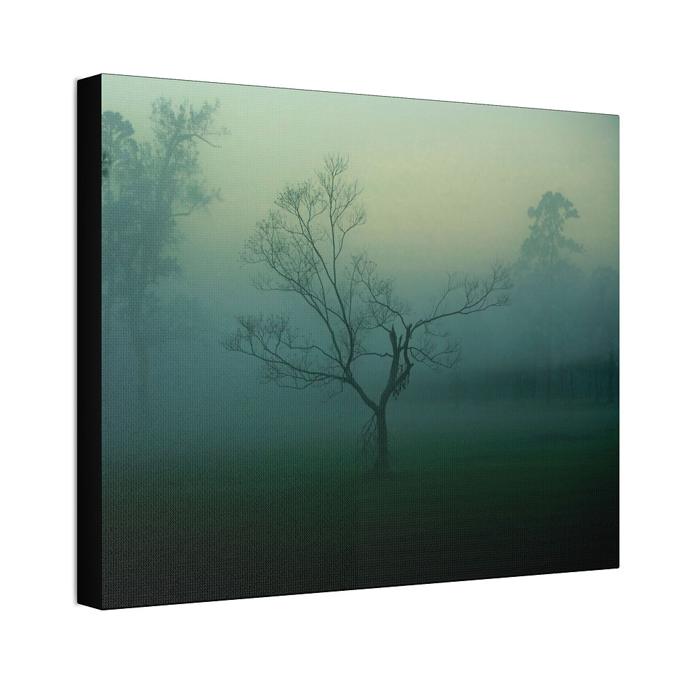 Thumbnail: Misty Morning Tree Canvas Print — Atmospheric Fog Landscape Wall Art (4 sizes)