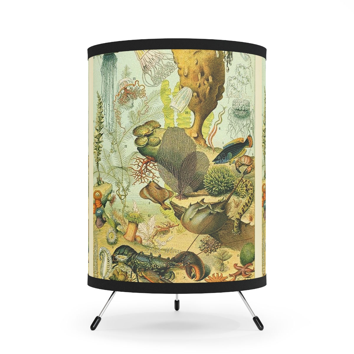Tripod Lamp Printed Shade, US/CA plug - Sea Creatures