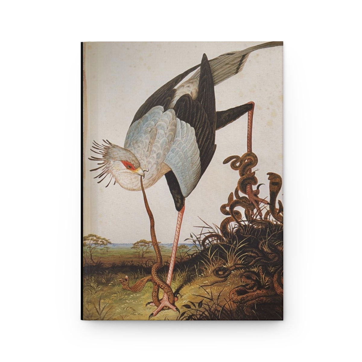 Secretary Bird with Snakes Hardcover Journal Matte Unlined Pages