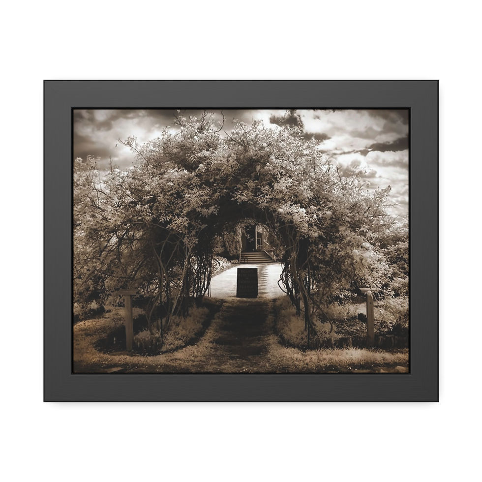 Thumbnail: Arbor Trellis Framed Print (Fine Art or Satin Semi-Gloss Photo Paper 8 variants)